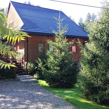 Apartament Nad Potokiem Wisła Extérieur photo
