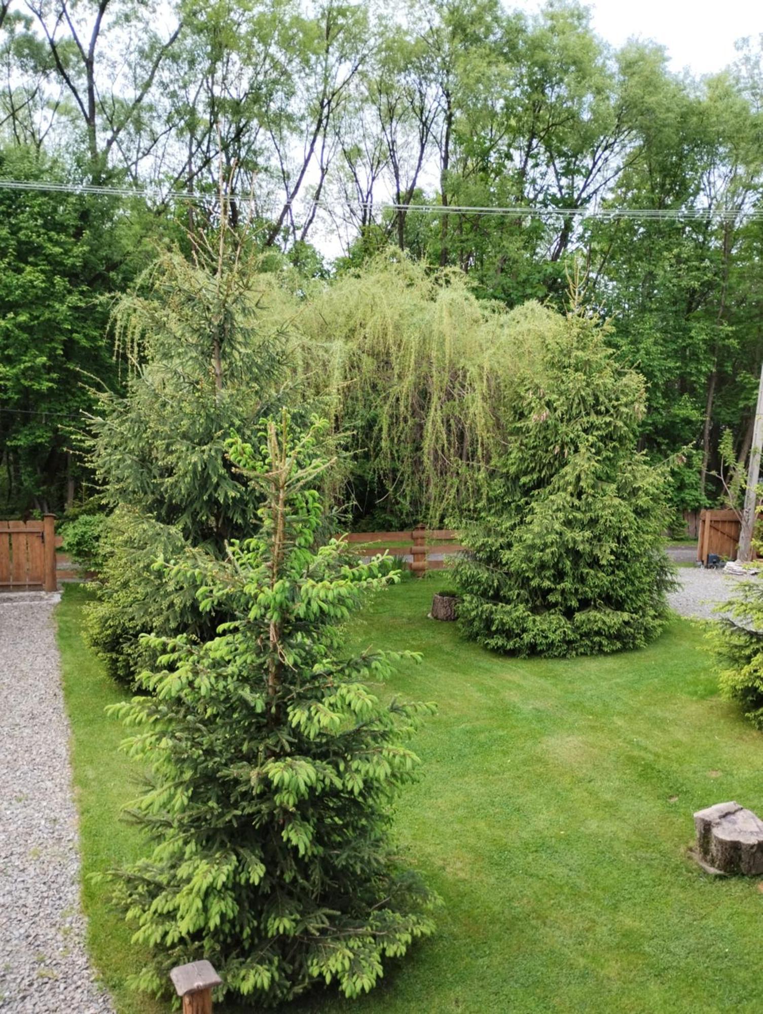 Apartament Nad Potokiem Wisła Extérieur photo